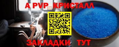 2c-b Кингисепп