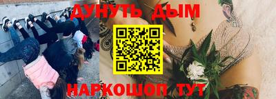 индика Кинель