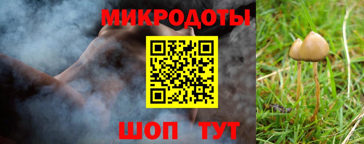 Галлюциногенные грибы Psilocybe  где найти наркотики  Вход с VPN  Евпатория  Псилоцибиновые грибы мухоморы 