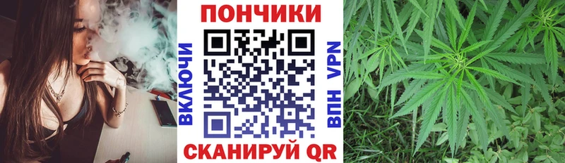 Каннабис OG Kush  mega маркетплейс  Евпатория  где купить наркоту 